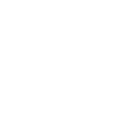Developer Partner Logo 7