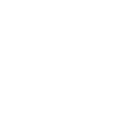 Developer Partner Logo 9